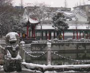 太和后天天气